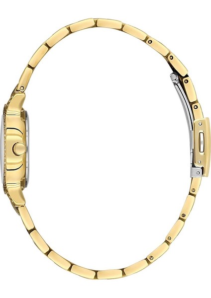 Danıel Kleın DK.1.14118-7 Kadın Kol Saati fiyatları