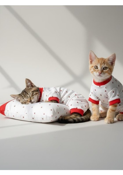 Berry Kedi Uyku Seti | Penye Kedi Tulum ve Mini Yastık Takımı | Pamuklu | Tüy Dökülmesini Azaltır |
