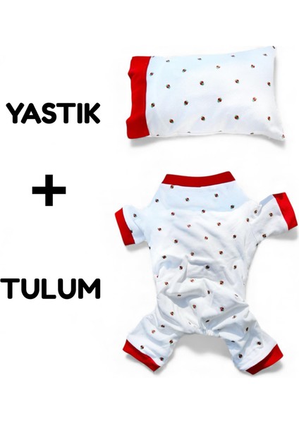 Berry Kedi Uyku Seti | Penye Kedi Tulum ve Mini Yastık Takımı | Pamuklu | Tüy Dökülmesini Azaltır | fiyatları