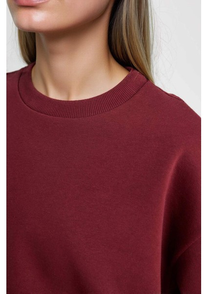 Regular Fit 2'li Takım Sweatshirt Beli Lastikli Jogger Eşofman Altı