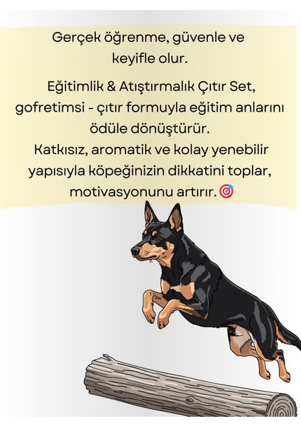 Eğitim & Atıştırmalık Çıtır Set fırsatları