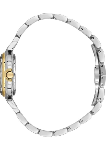 Danıel Kleın DK.3.10073-4 Kadın Kol Saati fiyatları