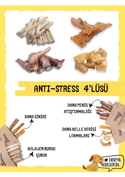 Anti-Stress 4'lüsü