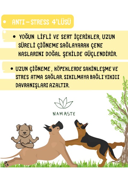 Anti-Stress 4'lüsü modelleri