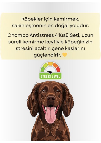 Anti-Stress 4'lüsü indirimleri