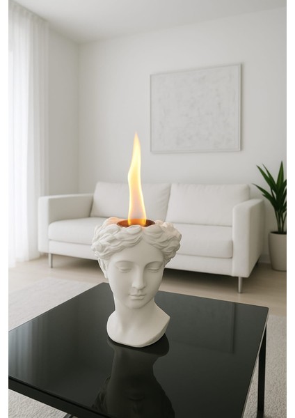 Bioethanol Helen Saksı Obje Masa Üstü Taşınabilen Ateş Çukuru Şömine fiyatları