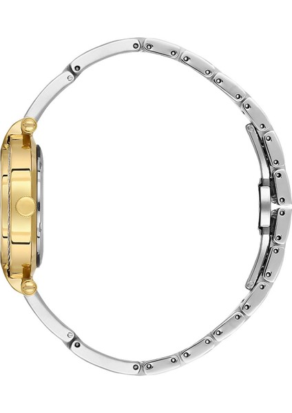 Danıel Kleın DK.3.10070-3 Kadın Kol Saati fiyatları