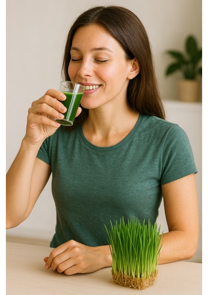 Buğday Çimi Suyu 10 Günlük Paket indirimleri