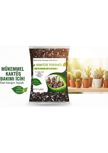 Kaktüs Toprağı - Böcek Sinek Yapmayan Toprak 3 Lt
