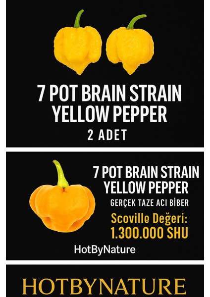 7 Pot Braın Straın Yellow Pepper / 1,5 Milyon Scoville - Gerçek Taze Acı Biber