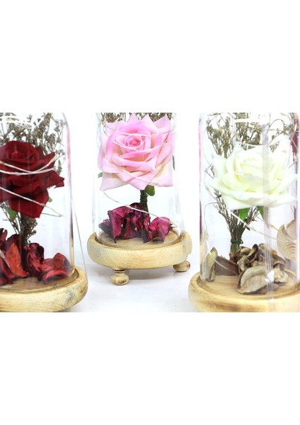 Fanus Gül 19/10CM LED Işıklı Cam Fanuslu Hediyelik modelleri