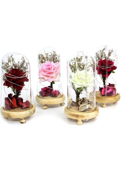 Fanus Gül 19/10CM LED Işıklı Cam Fanuslu Hediyelik fırsatları