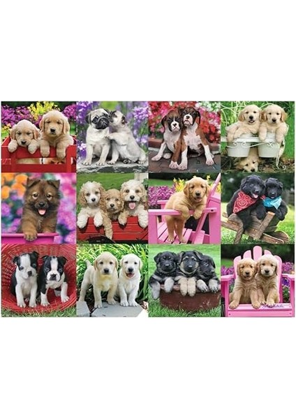 500P Puz Köpek Yavruları, Yapboz fırsatları