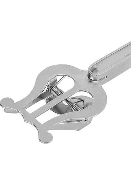 Kelepçesi, Pratik Uygun Hafif Müzik Sahibi, Trompet Için Müzik Aleti Için Lir Için Taşınabilir fırsatları