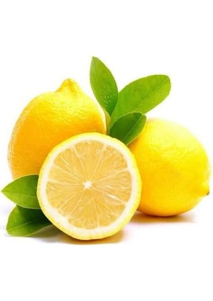 Doğal Ahşap Cilası Üstün Koruma 250 ml + Mikrofiber Bez Natural Wood Polishing Wax modelleri