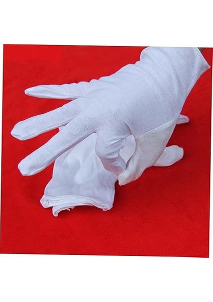 1 Takım Erkek Kız Için Öğrenci Trompet Müzik Aleti Dayanıklı ve Dekorasyonu Için Şık Tasarım Güvenilir ve Güvenli Malzeme ile Eğlenceli Oyun Imkanı indirimleri