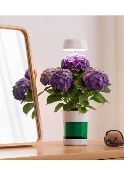 Hızlı Bitki Yetiştirme Saksısı