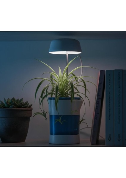 Hızlı Bitki Yetiştirme Saksısı fiyatları