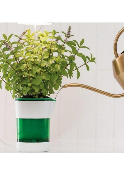 Hızlı Bitki Yetiştirme Saksısı fırsatları