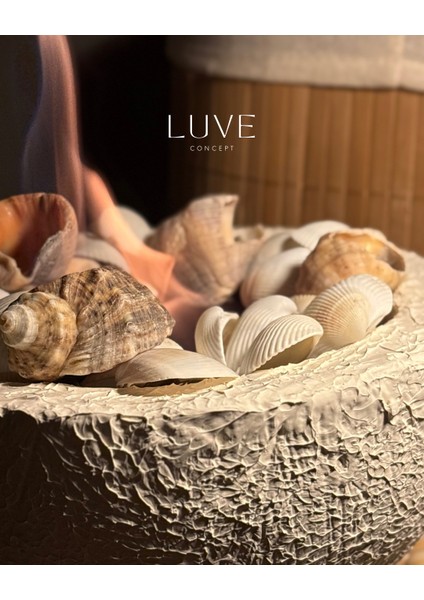 Iskandinav Masaüstü Şömine – Bioethanol Dekoratif Ateş Çukuru, Kokudan ve Dumandan Uzak Modern Rustik Şömine Istiridye Detay fiyatları