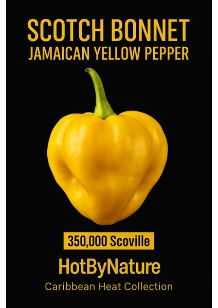 Scotch Bonnet Jamaıcan Yellow Pepper 350.000 Scoville - Gerçek Taze Acı Biber