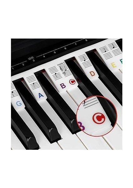 Çıkarılabilir Piyano Klavye Not Etiketleri, Yeni Başlayanlar Için Piyano Notaları Kılavuz Etiketleri, 88-Key ve 61-Key Tam Boyut, Silikon Piyano Anahtar Müzik Notları Mektup Etiketi, Yeniden modelleri