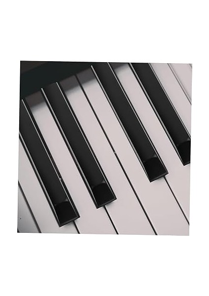 4 Adet Piyano Siyah Tuşları Piyano Aksesuarları Enstrüman Malzemeleri Piyano Tamir Aracı Piyano Anahtarı Değişimi Piyano Tuşu Siyah Piyano Siyahı Anahtar Parçaları Black Plastik fırsatları