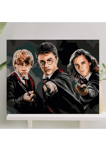 Hobi Sanat Sayılarla Boyama Tuval Seti Fırça Boya Dahil (Çıtalı) 40X50 cm - Harry Potter