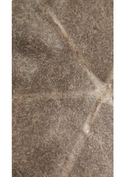 Muz Lifi Kağıt modelleri