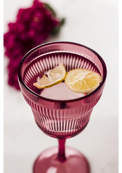 Akrilik Mürdüm Tekli Kadeh & Su Meşrubat Kahve Yanı Bardağı 300 ml ( Cam Değildir ) fiyatları