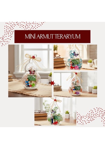 Armut Teraryum - Öğretmenler Günü Hediyesi