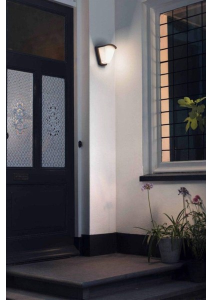 Kiskadee Antrasit Duvar Aydınlatması fırsatları