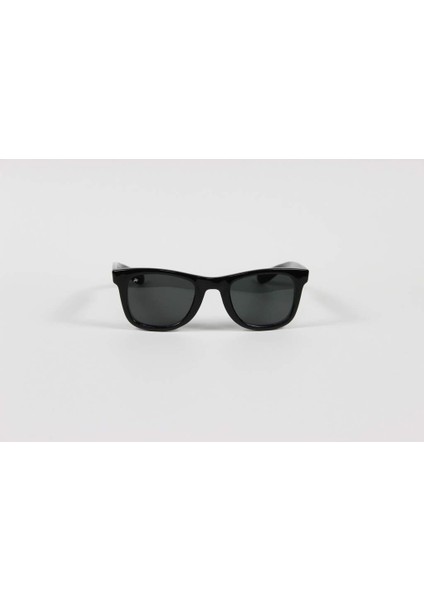 P110 49 25 145 Ci Mineral Glasses Erkek Güneş Gözlüğü fiyatları