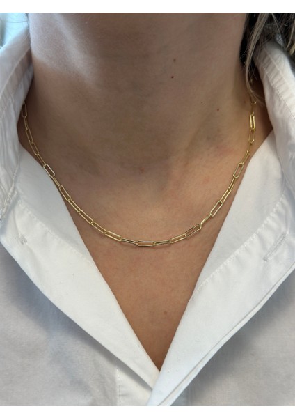 Altın Kaplama Ataç Kolye fiyatları