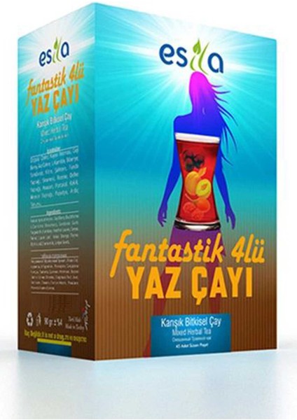 Fantastik 4 Lü Yaz Çayı 45 Li.