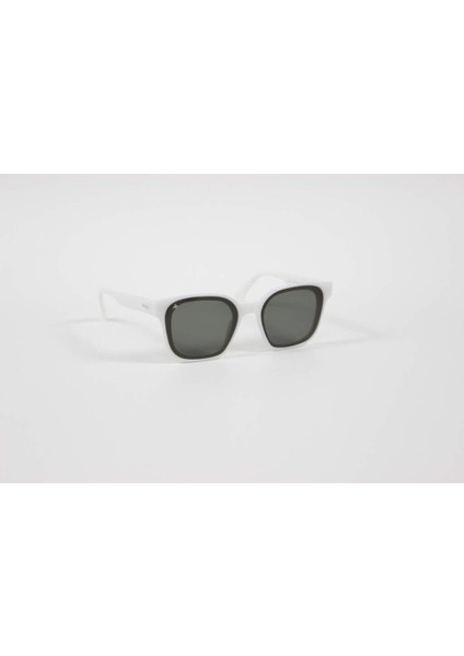 PB111 C2 Koyu 53 19 145 Unisex Güneş Gözlüğü