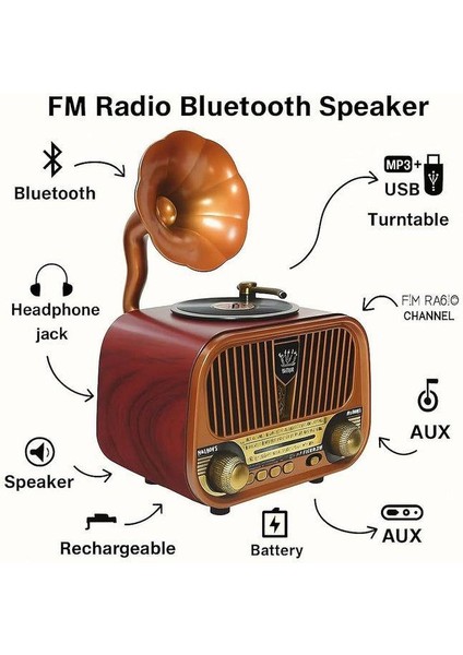 SP-428 Usb-Sd-Fm-Bluetooth Destekli Şarjlı Nostaljik Retro Radyo - Kahverengi modelleri