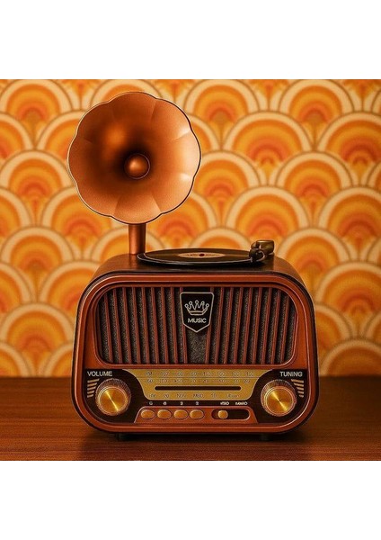 SP-428 Usb-Sd-Fm-Bluetooth Destekli Şarjlı Nostaljik Retro Radyo - Kahverengi fırsatları