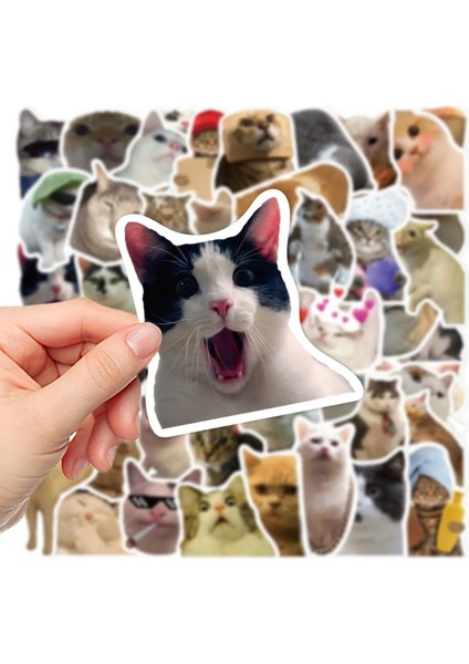 Çılgın Kediler Notebook Tablet Telefon Ajanda Laptop Defter Sticker Seti