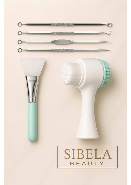 3'lü Bakım Seti; Yüz Temizleme Fırçası + 4'lü Gümüş Komedon + Maske Sürme Aparatı