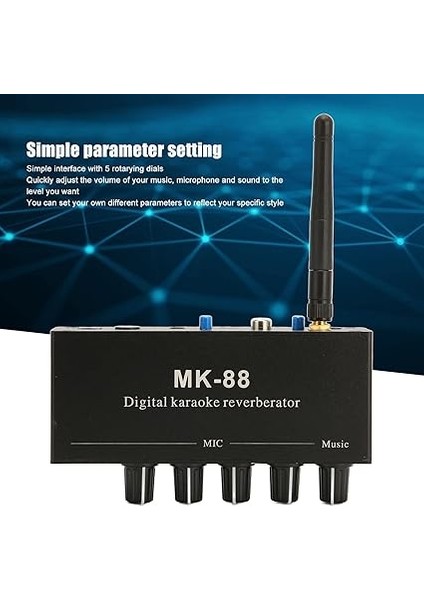 6.5mm Karaoke Mikser Alüminyum Alaşım Çift Mikrofon Girişi Taşınabilir Dijital Karaoke Ses Amplifikatörü Ktv Sahne Partisi modelleri