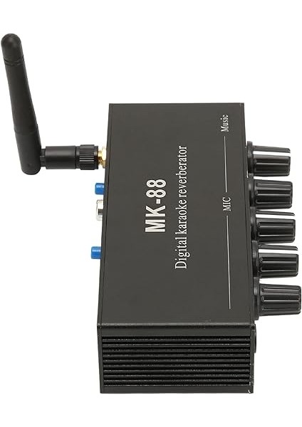 6.5mm Karaoke Mikser Alüminyum Alaşım Çift Mikrofon Girişi Taşınabilir Dijital Karaoke Ses Amplifikatörü Ktv Sahne Partisi indirimleri