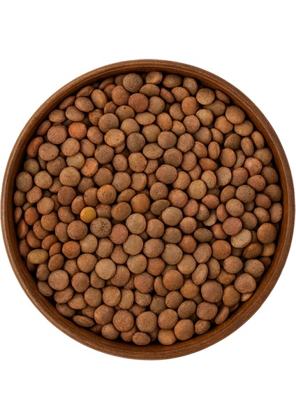 Yerli Doğal Organik Siyah Mercimek modelleri