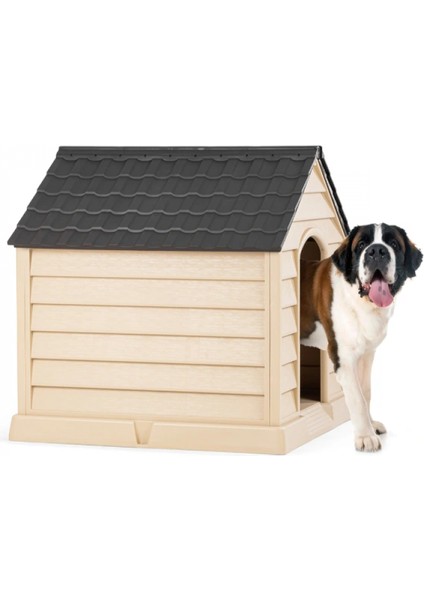 Büyük Köpek Kulübesi