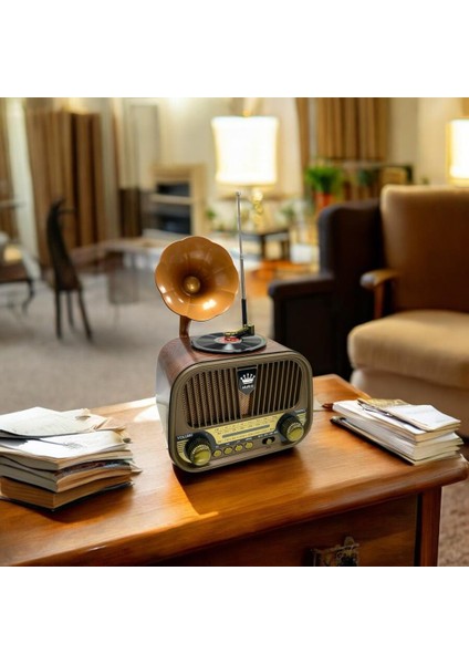 SP-428 Usb-Sd-Fm-Bluetooth Destekli Şarjlı Nostaljik Retro Radyo - Gri indirimleri