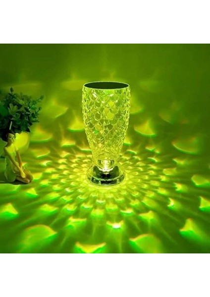 Balık Süzgeç Model USB Şarjlı Kumandalı 16FARKLI Işık Modlu Masa Üstü Kristal Akrilik LED fırsatları