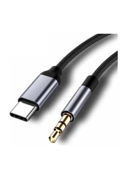 ZR309 Ft AC19 Type-C Aux Kablo