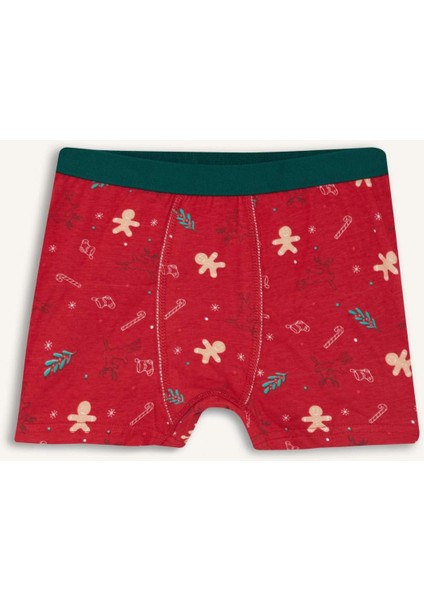 Erkek Çocuk Yılbaşı Temalı Penye BOXER G4004A825WN fiyatları