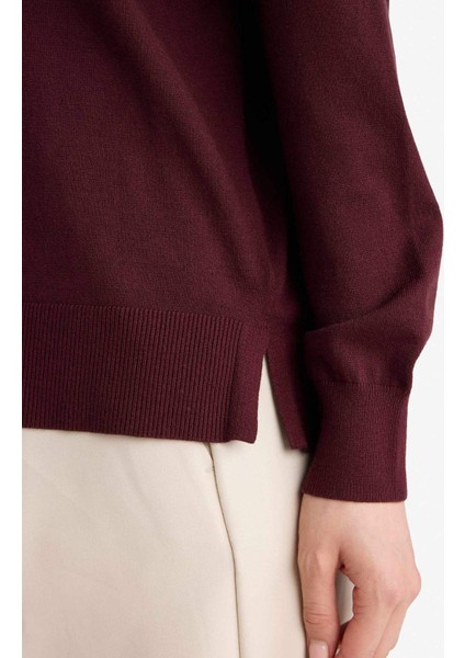 Regular Fit V Yaka Kazak E9145AX25AU