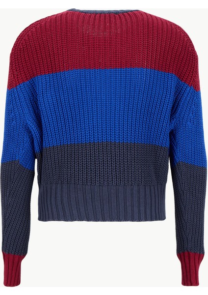 Yuvarlak Yaka Standart Desenli Mavi Kazak Kadın LV047D302GVEK fiyatları